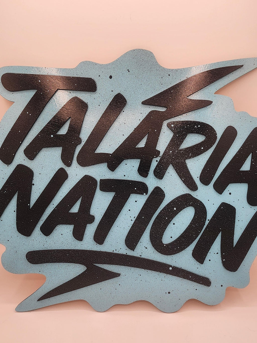 Laser Engraved E-Moto signs