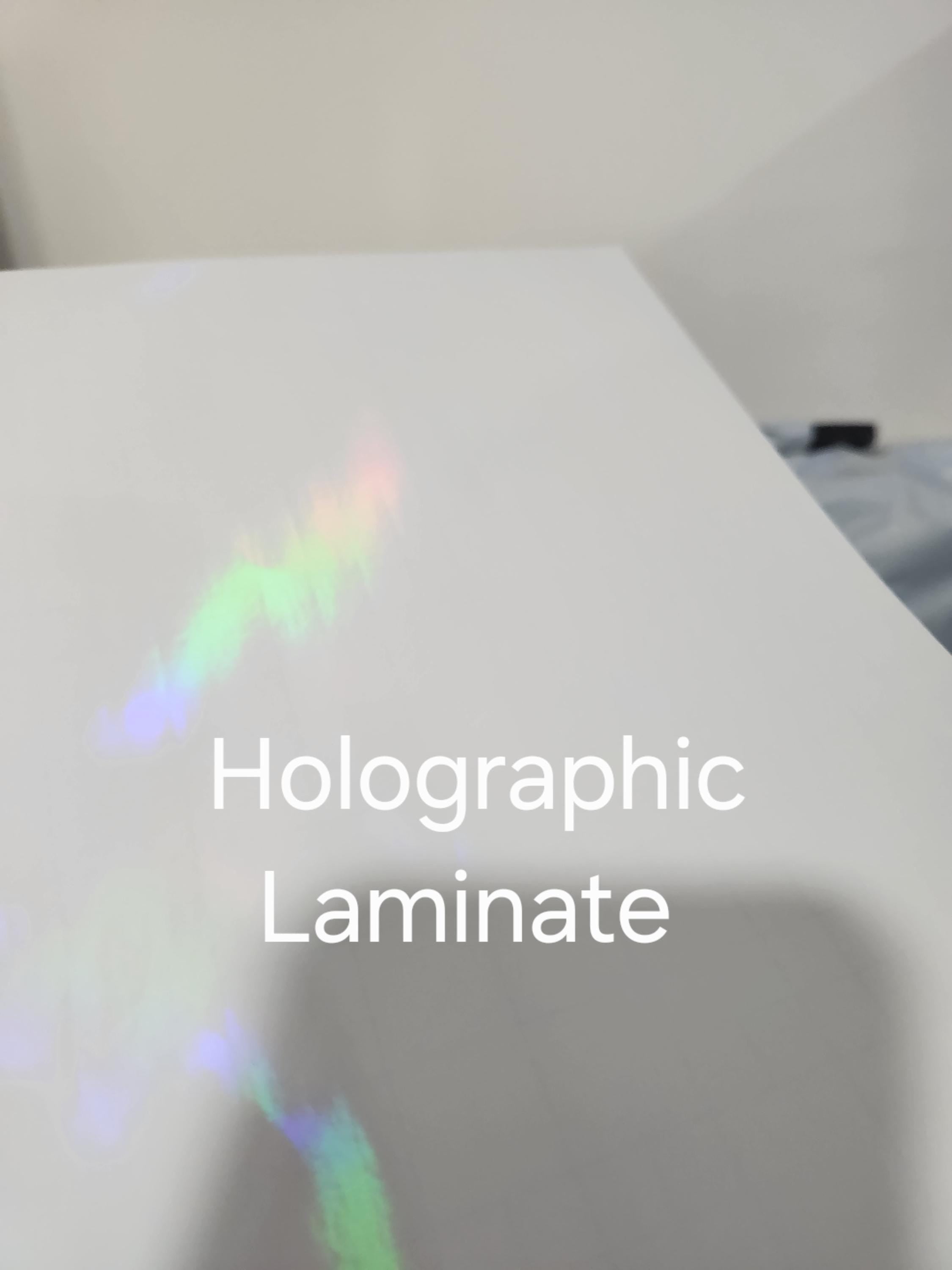 Talaria DNM Fork Gaurd Decals