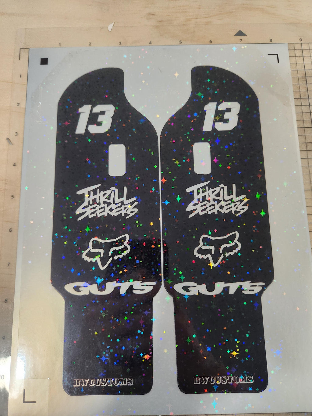 Talaria DNM Fork Gaurd Decals