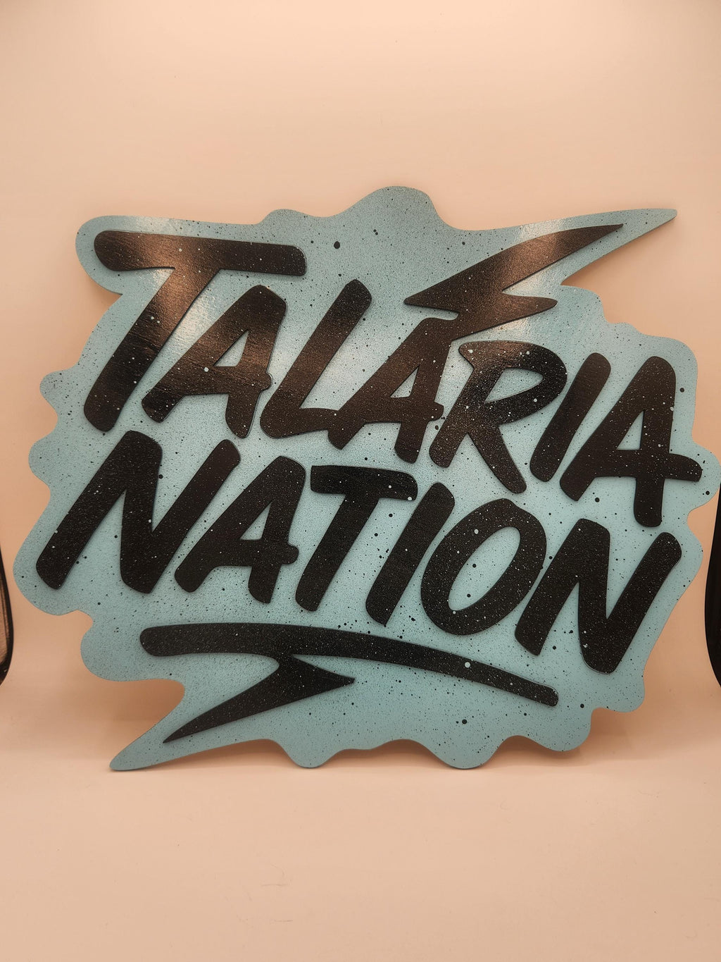 Laser Engraved E-Moto signs