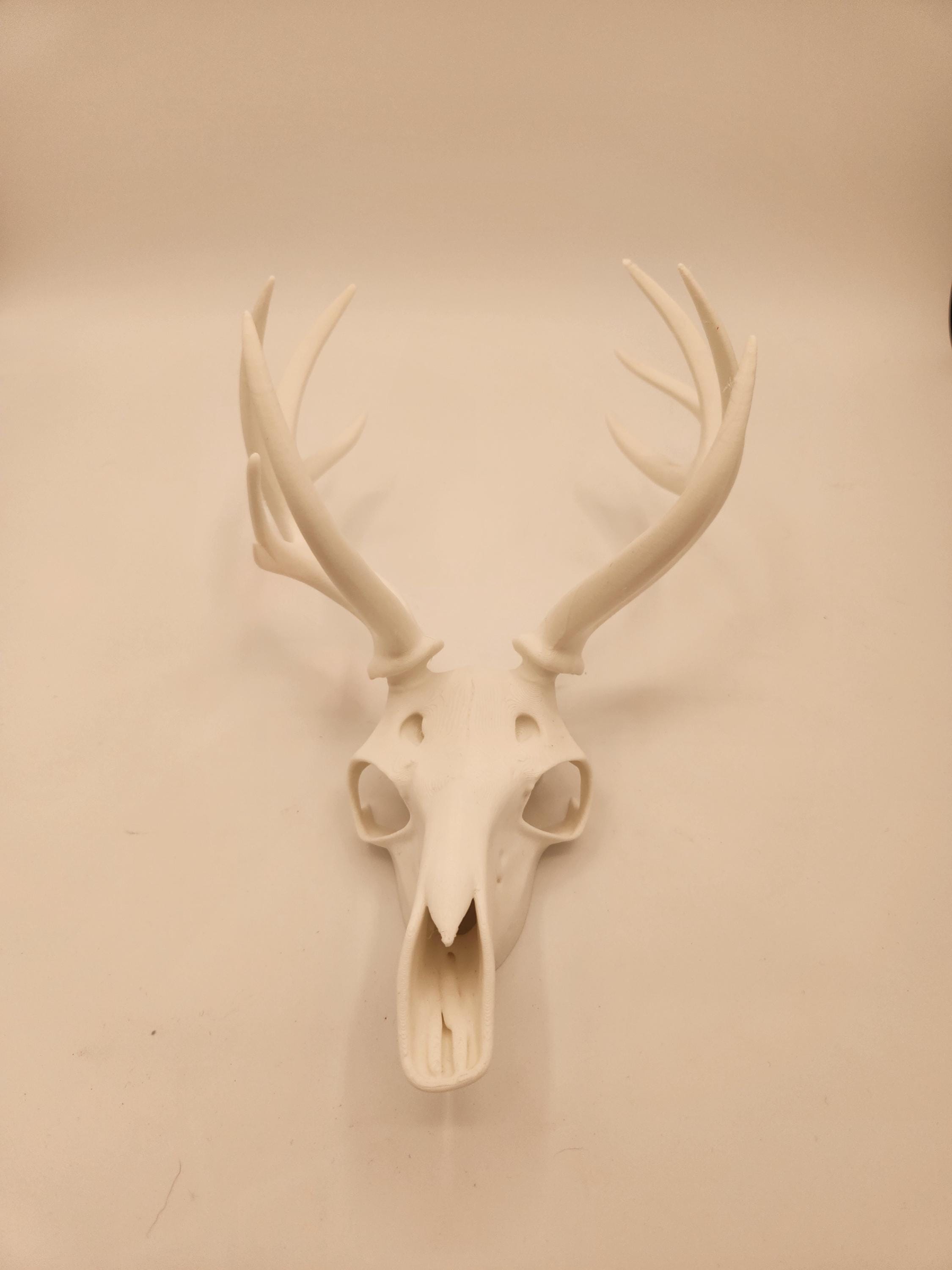 3D printed deer skulls