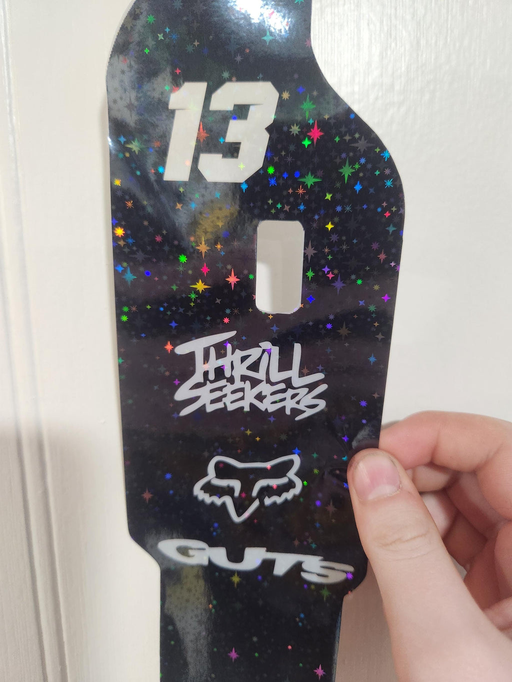 Talaria DNM Fork Gaurd Decals