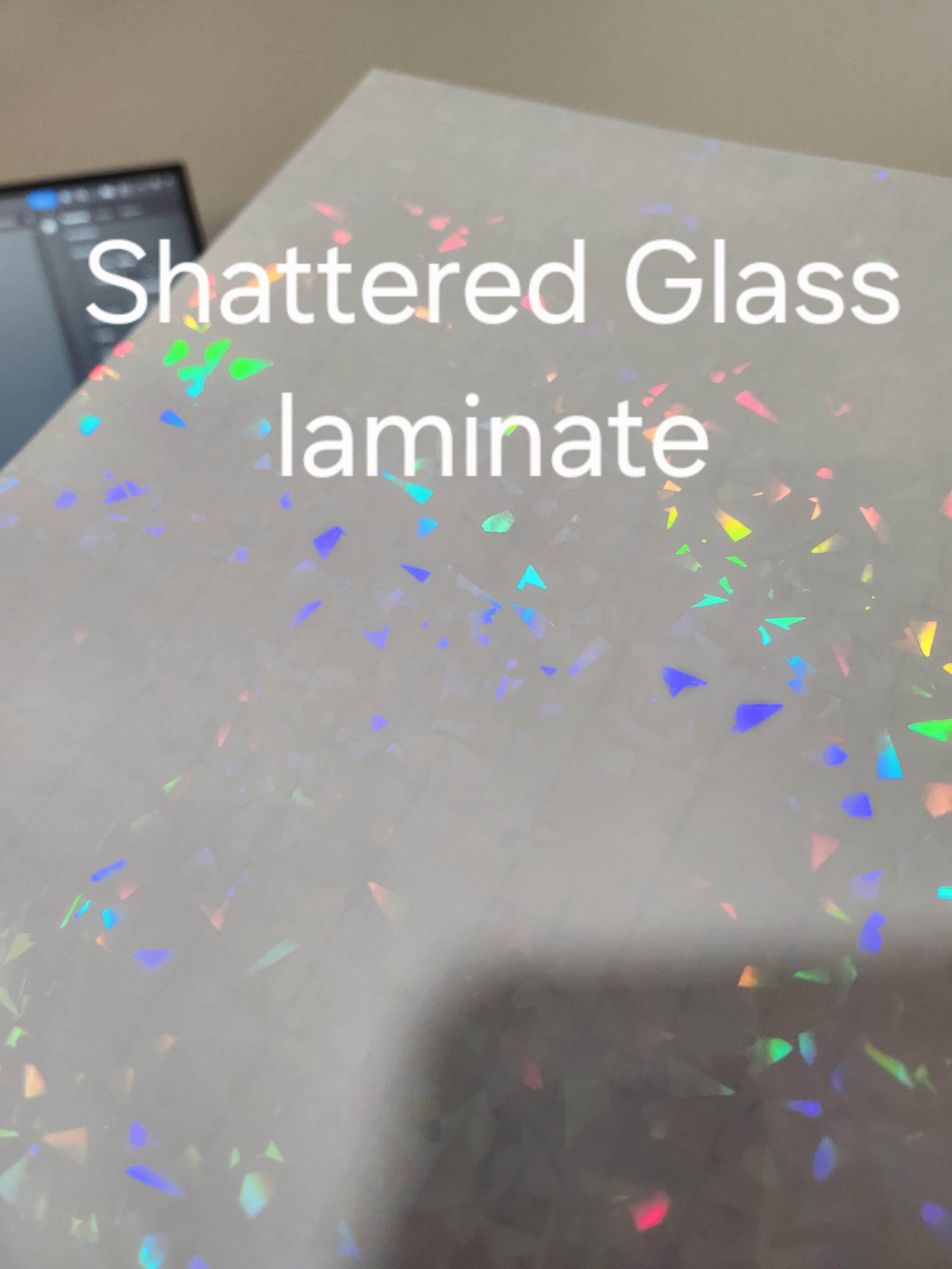 Talaria Sting Rear Fender Decal