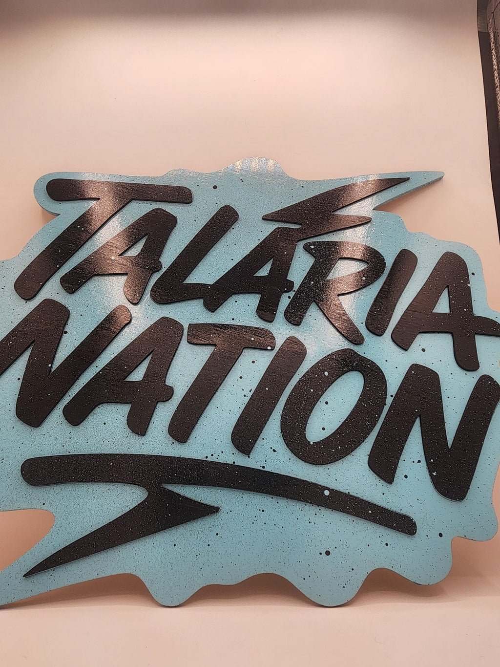 Laser Engraved E-Moto signs